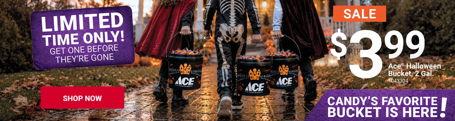 Limited time only: Ace Halloween Bucket, 2 gallon, on sale for $3.99. Red Hot Buys valid October 1-31.